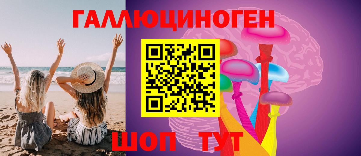 хочу наркоту  Псилоцибиновые грибы GOLDEN TEACHER  Вход с VPN  Новокубанск 